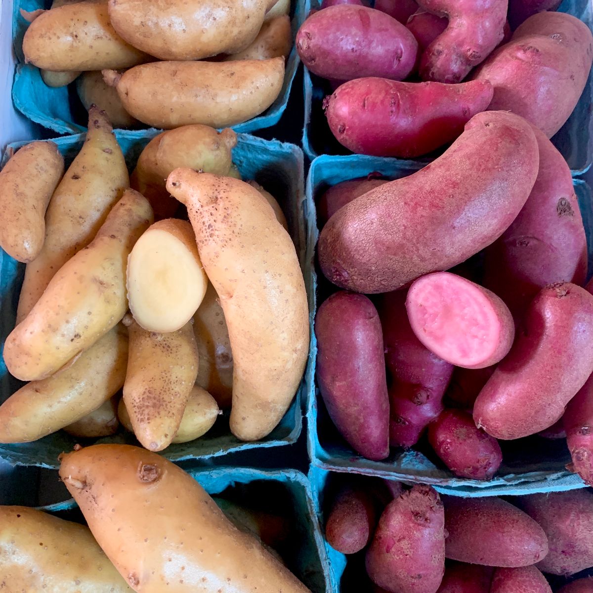 Pommes de terre nouvelles rouges en cagettes sur un marché de producteurs locaux