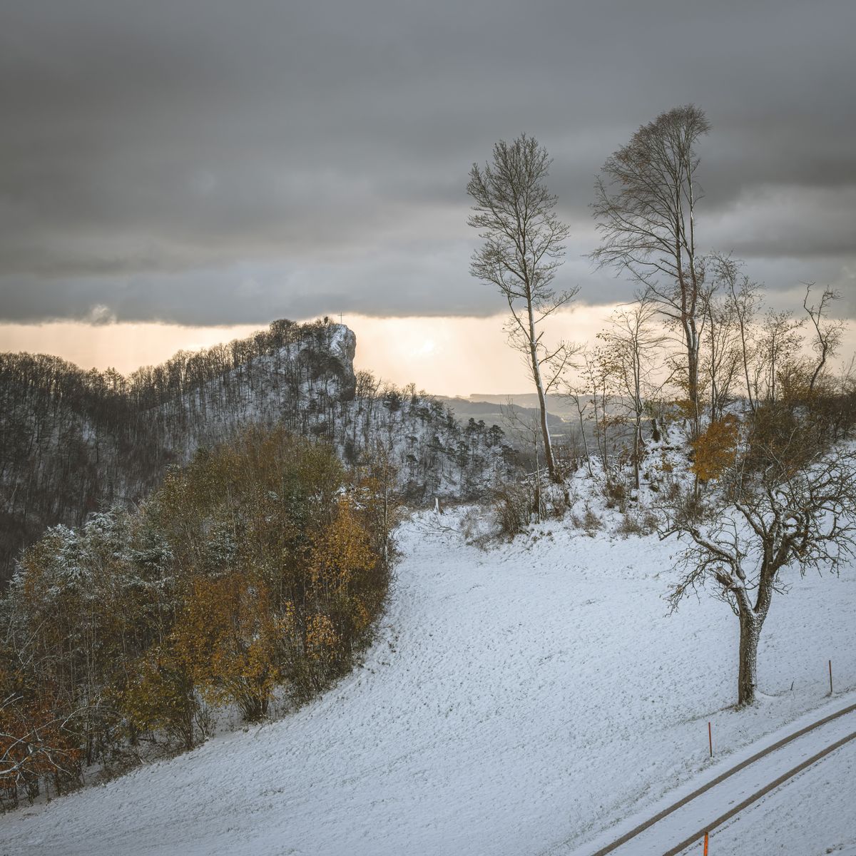 Paysage hivernal de montagnes et d'arbres enneigés sous un ciel dramatique de moyenne montagne